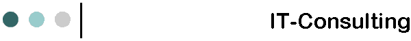 IT-Consulting