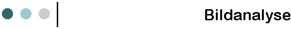 Bildanalyse