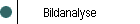 Bildanalyse