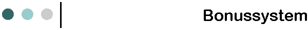 Bonussystem