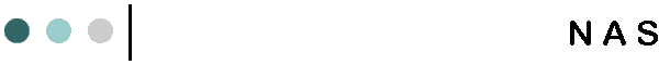 N A S