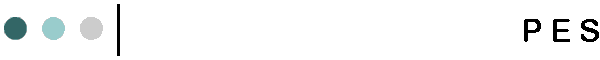 P E S