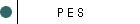 P E S